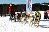 _MG_9656.jpg _MG_9656.jpg