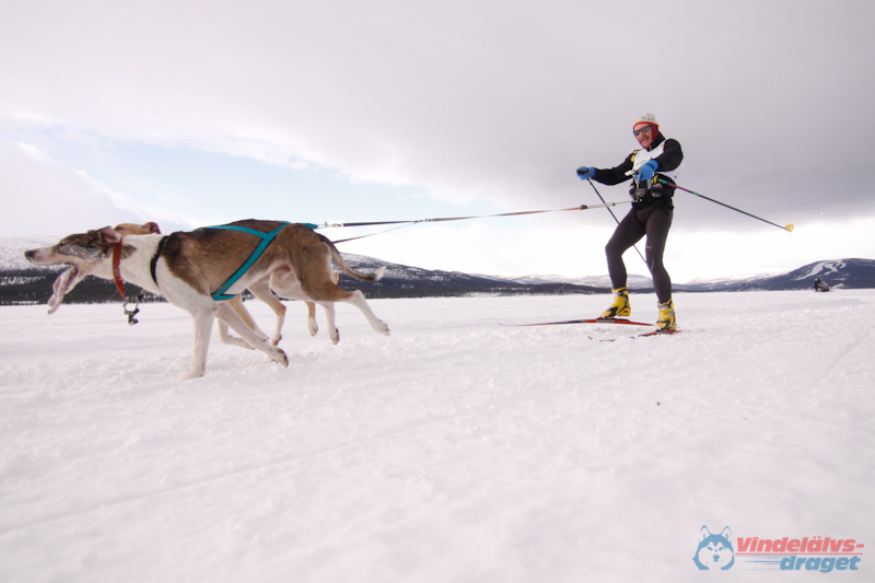 Cristoffer_Hellstrom-15-03-25.jpg
