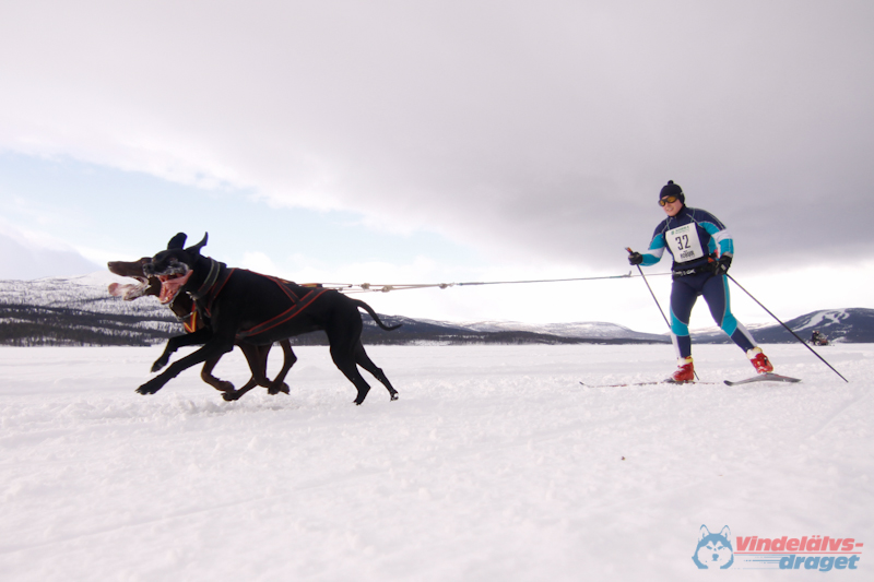 Cristoffer_Hellstrom-15-03-26.jpg