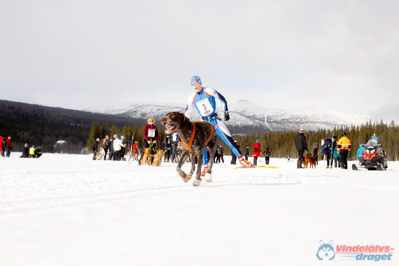 Cristoffer_Hellstrom-15-03-31.jpg