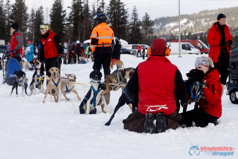 Cristoffer_Hellstrom-15-03-45.jpg