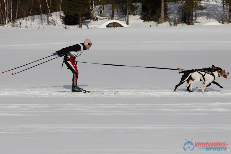 Cristoffer_Hellstrom-15-03-76.jpg