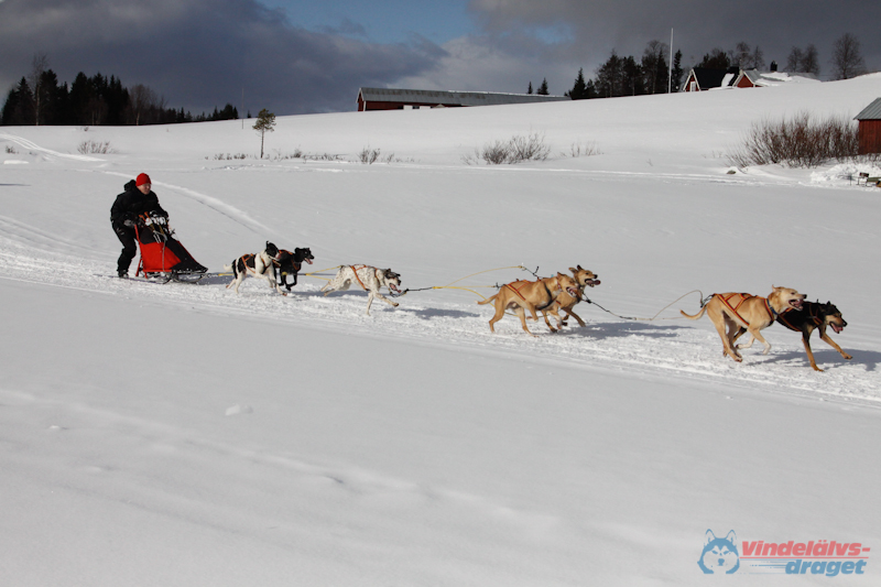 Cristoffer_Hellstrom-15-03-78.jpg