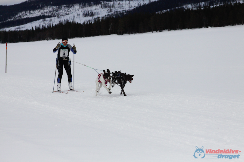 Cristoffer_Hellstrom-15-03-86.jpg