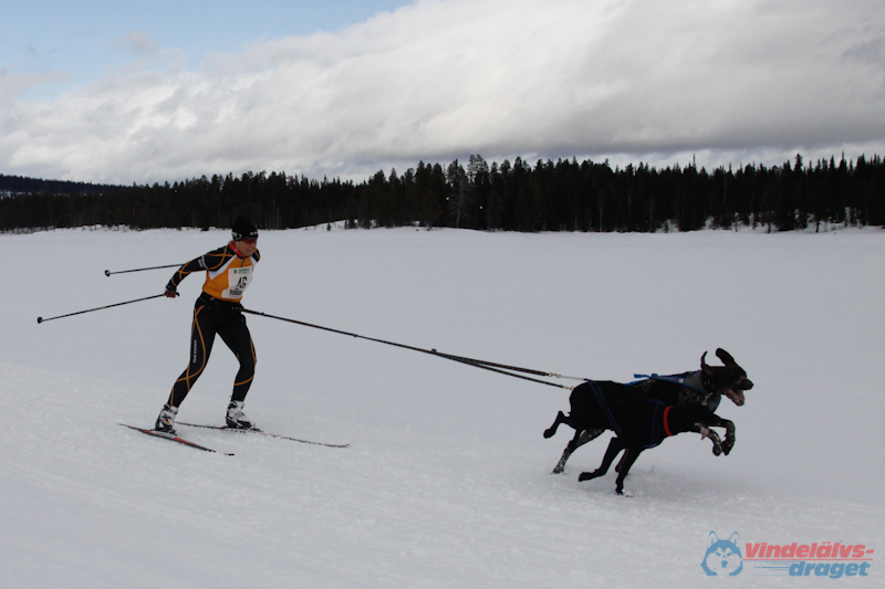 Cristoffer_Hellstrom-15-03-87.jpg