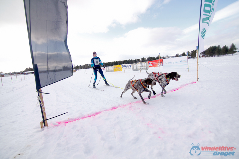 Cristoffer_Hellstrom-15-03-97.jpg