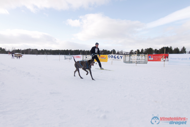 Cristoffer_Hellstrom-15-03-98.jpg