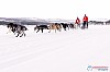 Cristoffer_Hellstrom-15-03-16.jpg