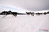 Cristoffer_Hellstrom-15-03-24.jpg