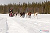 Cristoffer_Hellstrom-15-03-28.jpg