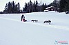 Cristoffer_Hellstrom-15-03-59.jpg