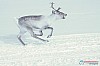 Cristoffer_Hellstrom-15-03-61.jpg