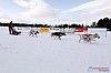Cristoffer_Hellstrom-15-03-99.jpg