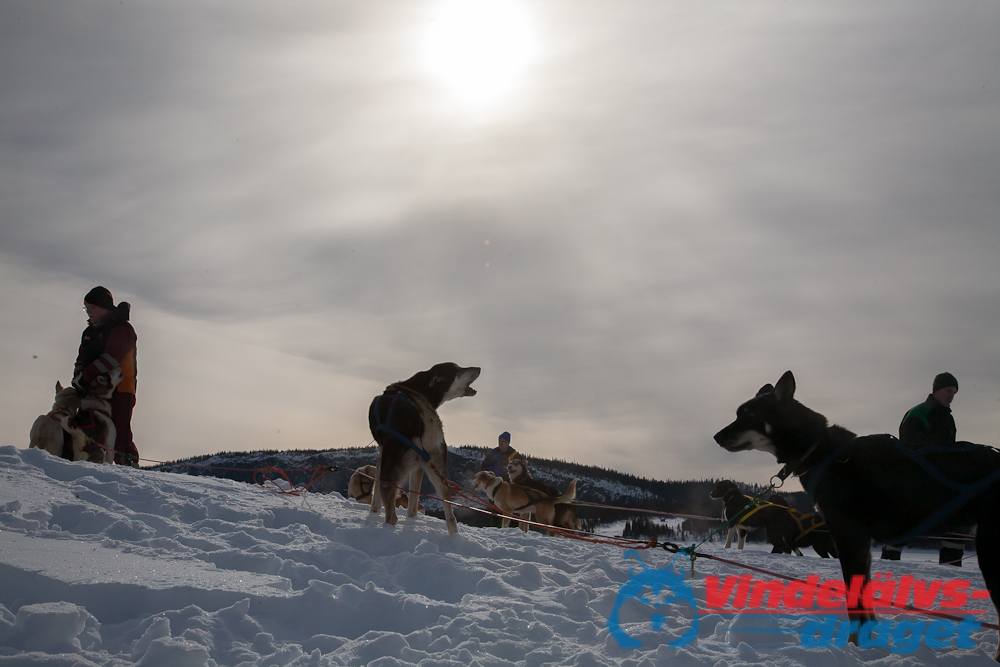Joakim_B 2013-03-14_11-53-25.jpg