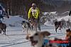 Joakim_B 2013-03-14_10-12-33.jpg Joakim_B 2013-03-14_10-12-33.jpg