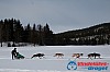 Joakim_B 2013-03-14_12-32-49.jpg Joakim_B 2013-03-14_12-32-49.jpg