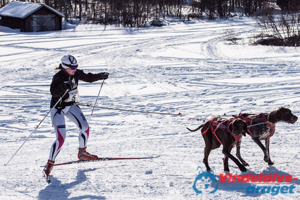 Cristoffer_H_2013-03-15_15-55-59.jpg