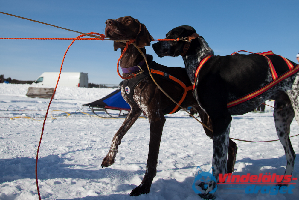 Joakim_B_2013-03-15_11-00-33.jpg