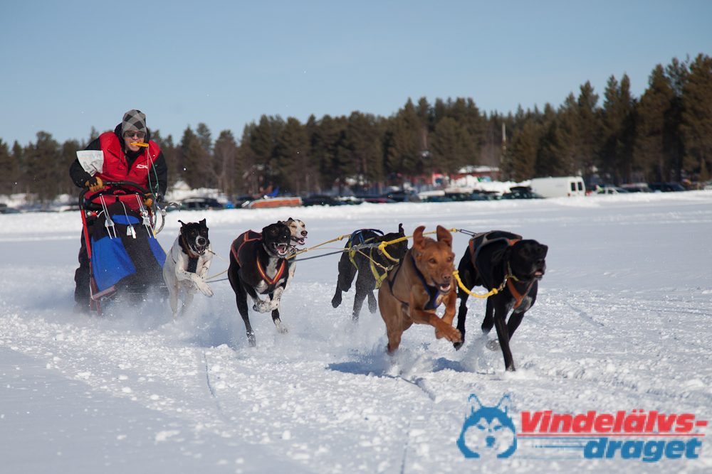 Joakim_B_2013-03-15_11-23-54.jpg