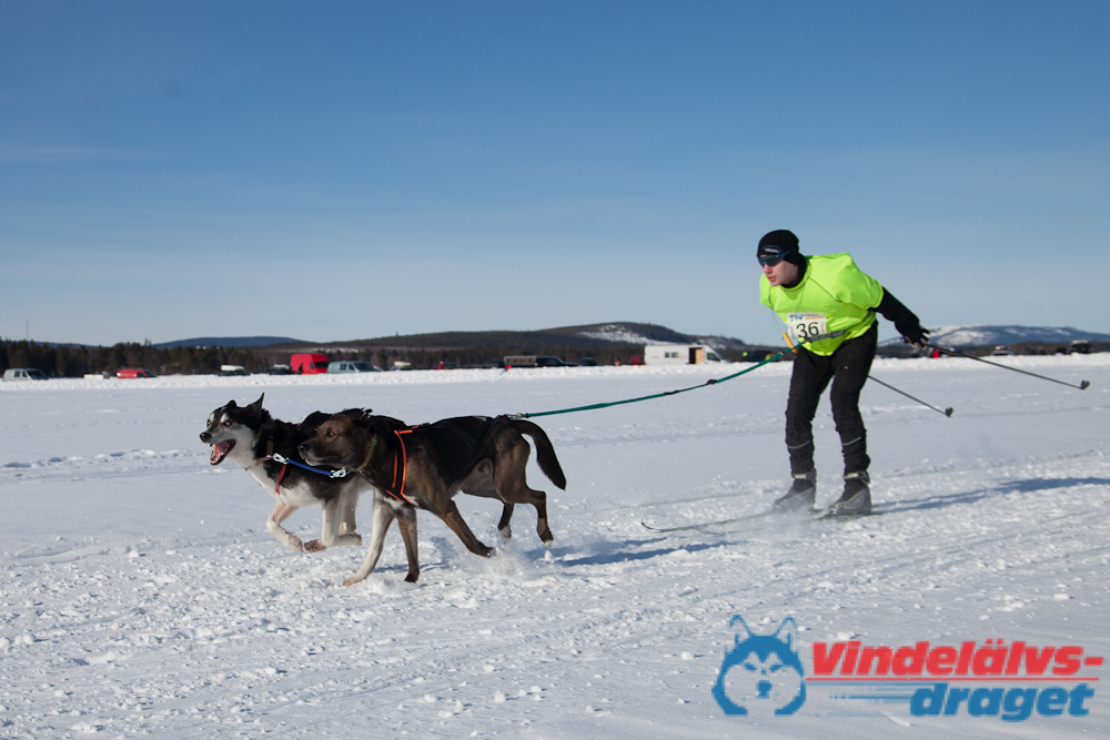 Joakim_B_2013-03-15_11-26-03.jpg