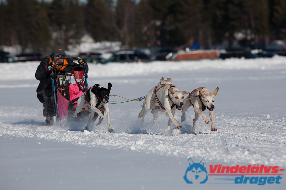 Joakim_B_2013-03-15_11-31-19.jpg