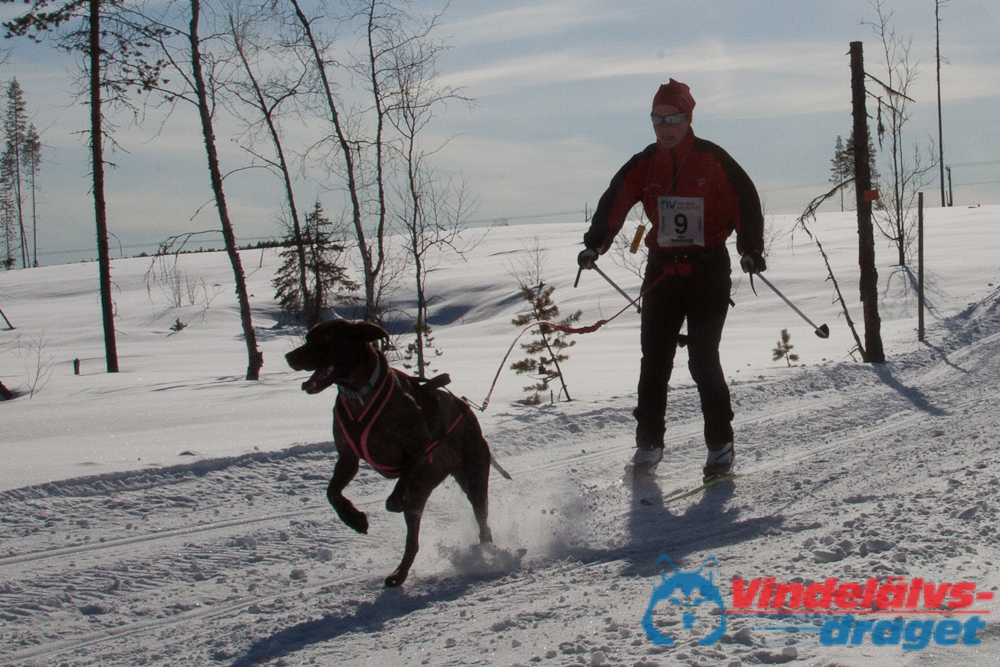 Joakim_B_2013-03-15_12-18-12.jpg