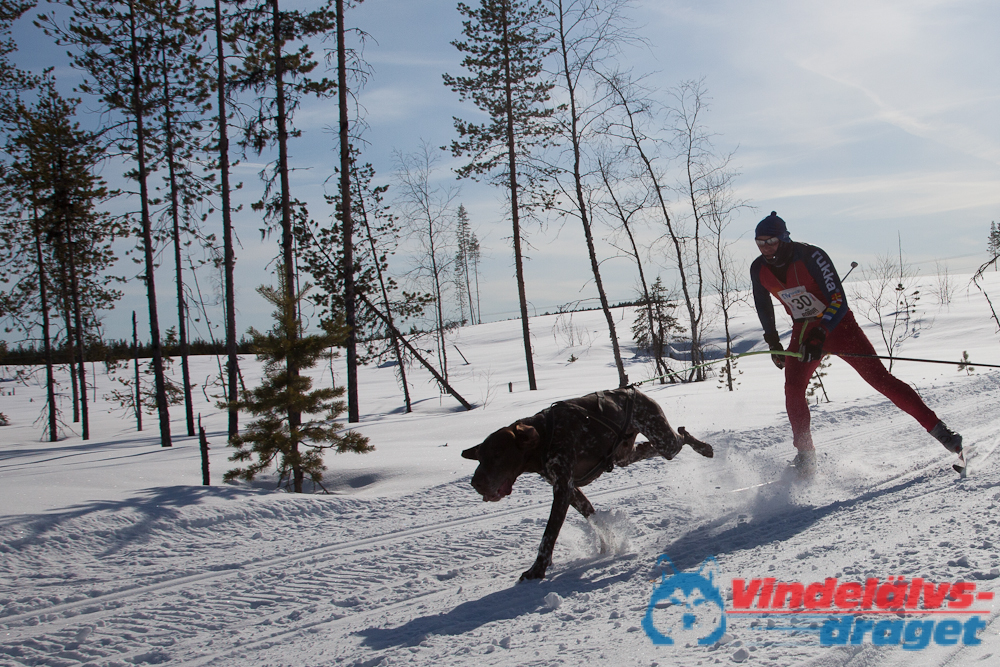 Joakim_B_2013-03-15_12-22-12.jpg