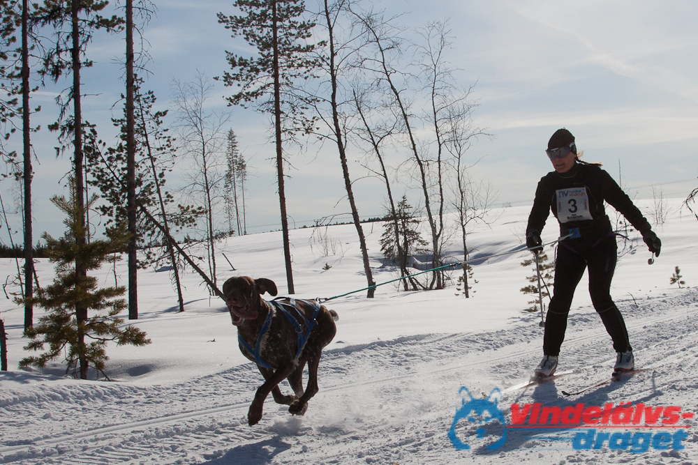 Joakim_B_2013-03-15_12-22-39.jpg