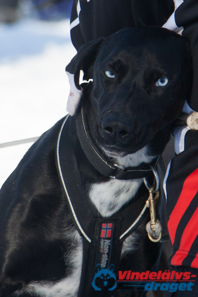 Joakim_B_2013-03-15_13-13-05.jpg