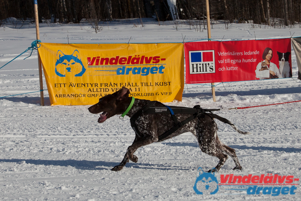 Joakim_B_2013-03-15_14-57-59.jpg