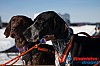 Joakim_B_2013-03-15_11-00-46.jpg