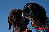 Joakim_B_2013-03-15_11-01-23.jpg