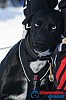 Joakim_B_2013-03-15_13-13-05.jpg
