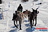 Joakim_B_2013-03-15_14-06-16.jpg
