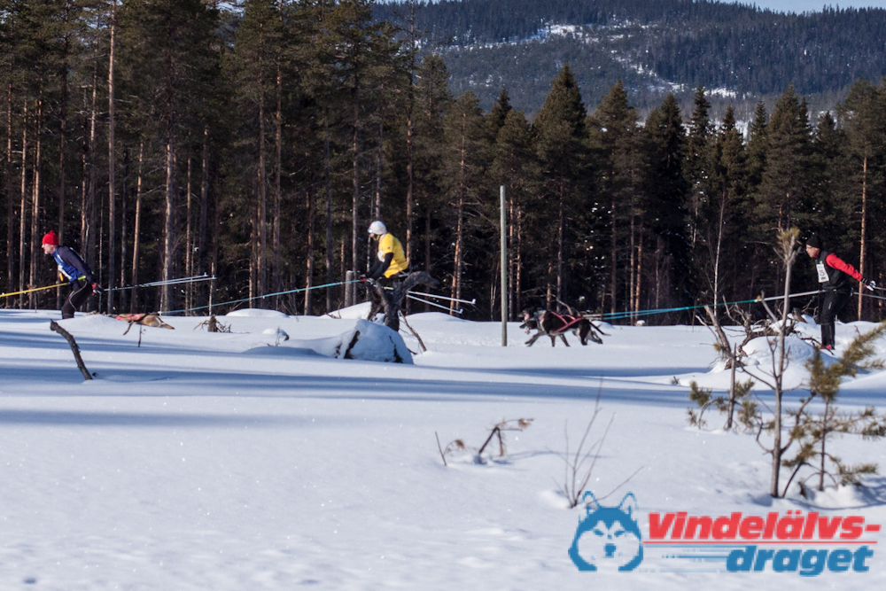 Cristoffer_H_2013-03-16_11-10-43.jpg