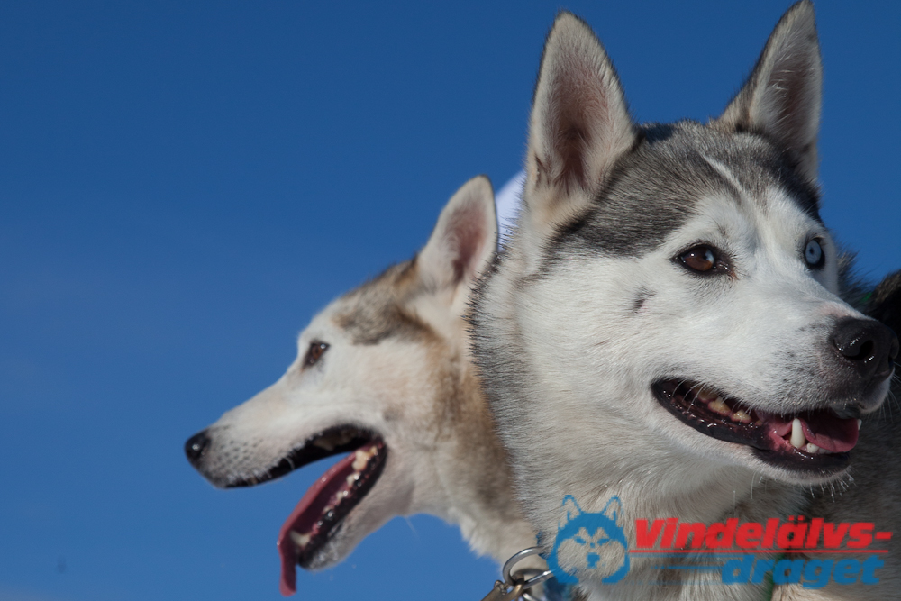 Joakim_B_2013-03-16_10-02-24.jpg