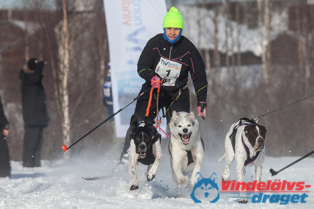 Joakim_B_2013-03-16_10-11-43.jpg