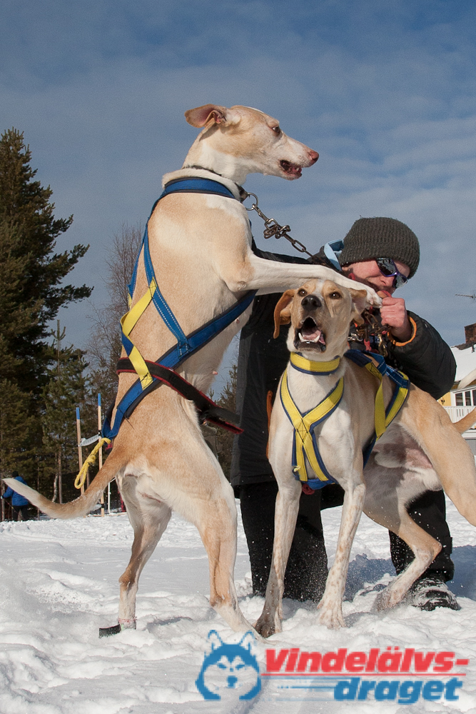 Joakim_B_2013-03-16_11-36-57.jpg