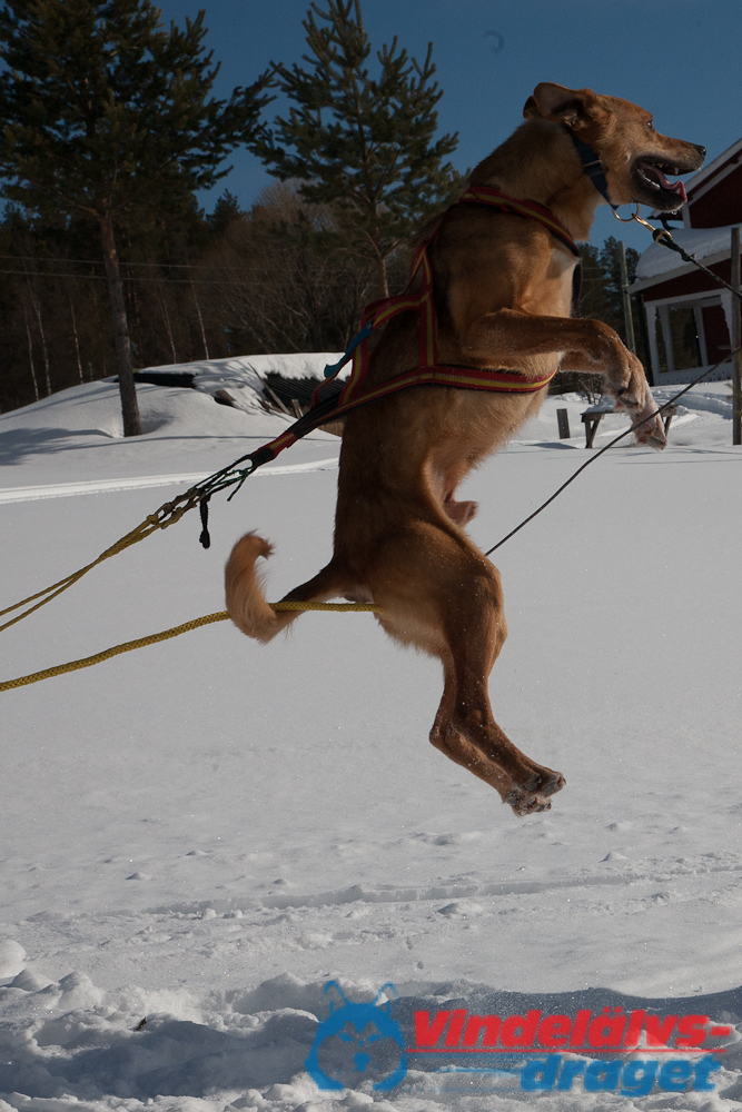 Joakim_B_2013-03-16_11-38-19.jpg