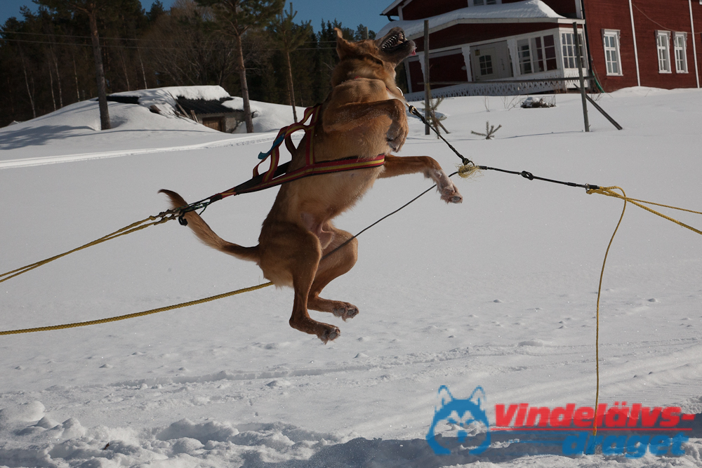 Joakim_B_2013-03-16_11-38-21.jpg