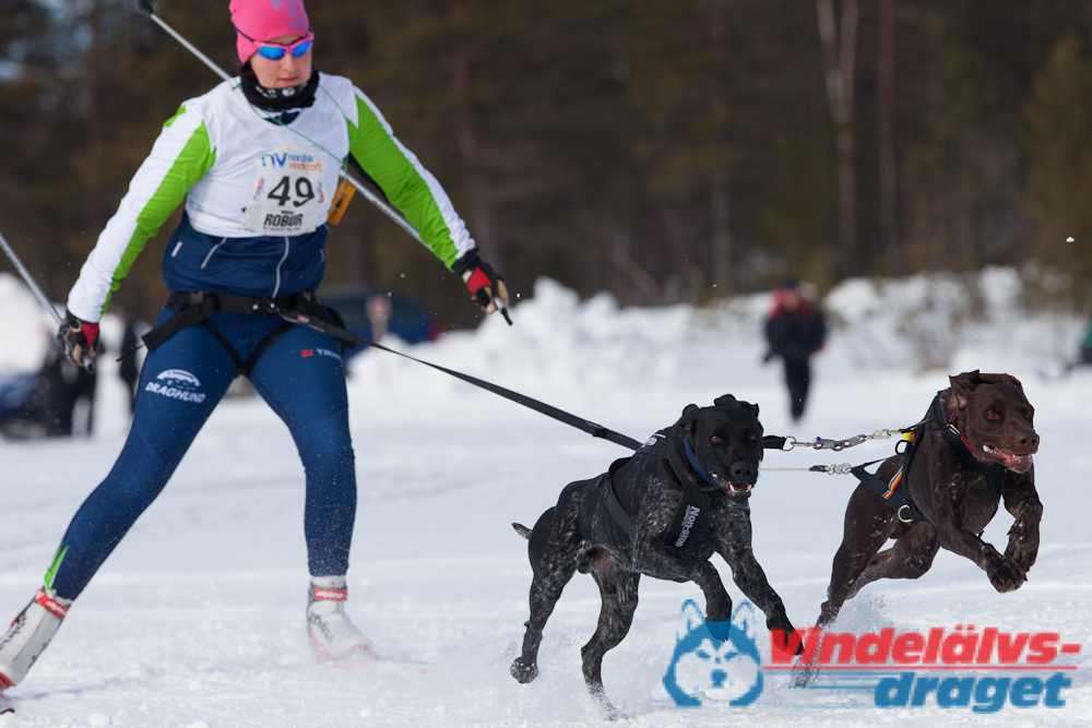 Joakim_B_2013-03-16_12-22-10.jpg