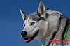 Joakim_B_2013-03-16_10-02-23.jpg