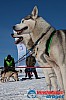 Joakim_B_2013-03-16_10-02-32.jpg
