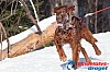 Joakim_B_2013-03-16_10-33-43.jpg