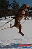 Joakim_B_2013-03-16_11-38-19.jpg