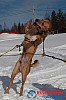 Joakim_B_2013-03-16_11-39-32.jpg