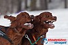 Joakim_B_2013-03-16_12-18-41.jpg