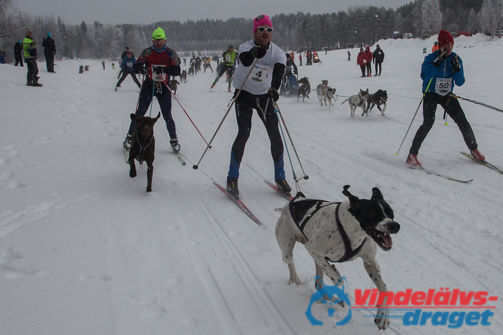 Joakim_B_2013-03-17_09-11-58.jpg