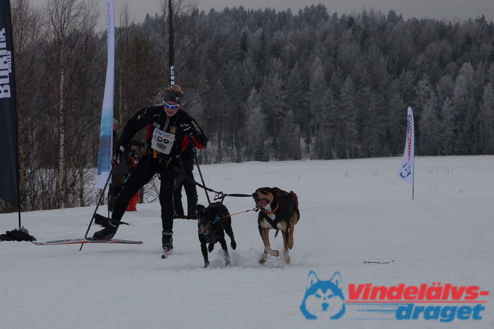 Joakim_B_2013-03-17_12-01-26.jpg