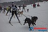 Joakim_B_2013-03-17_09-11-55.jpg